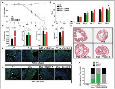 Metabolic Variability of a Multispecies Probiotic Preparation Impacts on the Anti-inflammatory Activity